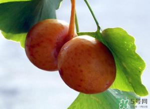 白果可以生吃嗎？白果怎么吃？