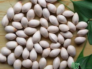 白果發(fā)霉了還能吃嗎？白果發(fā)霉了怎么處理？