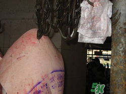 豬皮上的印章如何去除？豬肉上的印章怎么去掉？