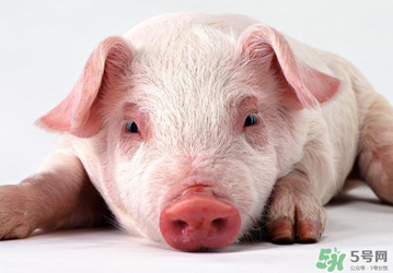 豬皮上的毛怎么去掉？豬皮上的毛能吃嗎？