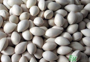 吃白果有什么好處和壞處？吃白果有什么作用？