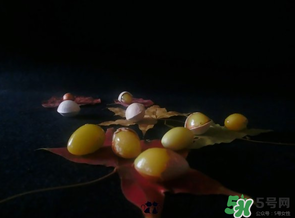 白果可以放微波爐嗎？白果放微波爐轉(zhuǎn)幾分鐘？