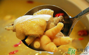 孕婦可以吃老母雞嗎？孕婦吃老母雞好嗎？