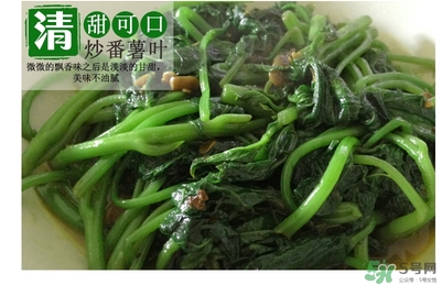 紅薯葉哺乳期可以吃嗎？紅薯葉產(chǎn)婦可以吃嗎？