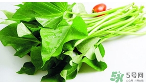 紅薯葉不能和什么一起吃？紅薯葉什么不能吃？