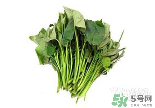 紅薯葉吃多了好嗎？紅薯葉吃多了會怎樣？