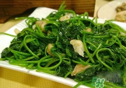 紅薯葉吃多了好嗎？紅薯葉吃多了會怎樣？