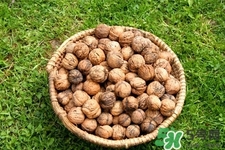 經(jīng)常吃核桃記憶力會提高嗎？長期吃核桃有什么好處？