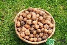 核桃一天什么時(shí)候吃最好？吃核桃有啥講究嗎？