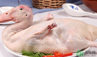 鴨肉可以放冰箱嗎？鴨肉放冰箱能保鮮多久？