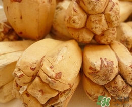 露兜果怎么吃？露兜果的功效作用