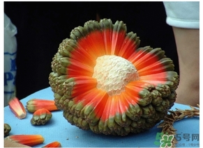 露兜果怎么吃？露兜果的功效作用