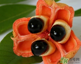 阿奇果怎么吃？阿奇果的功效作用