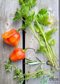 阿奇果怎么吃？阿奇果的功效作用