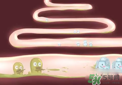 益生菌可以長期吃嗎？益生菌什么時候吃比較好？