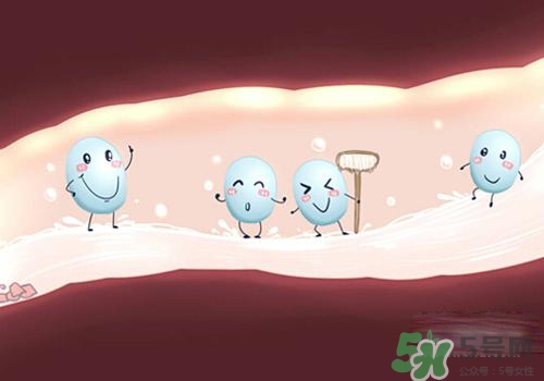 益生菌可以長期吃嗎？益生菌什么時候吃比較好？