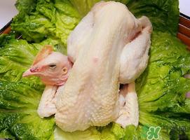 雞肉放冷藏還是冷凍？雞肉放冷凍的保質期