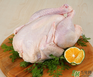 雞肉放冷藏還是冷凍？雞肉放冷凍的保質期