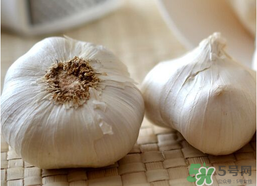 2017年大蒜多少錢一斤？2017年大蒜價格預(yù)測