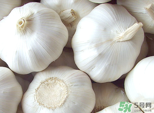 2017年大蒜多少錢一斤？2017年大蒜價格預(yù)測