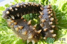 腎虛能吃海參嗎？吃海參對(duì)腎好嗎？