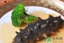 新鮮海參和干海參哪種更好？海參的品種有哪些？