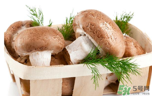 鮮香菇怎么保存？鮮香菇怎么保存時(shí)間長？