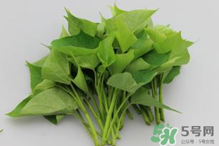 紅薯葉的營養(yǎng)價值 紅薯葉的功效與作用 紅薯葉的營養(yǎng)價值 紅薯葉的功效與作用