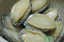 鮑魚死后可以放幾天？鮑魚死后多久不能吃？