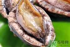 新鮮鮑魚可以放多久？活鮑魚怎樣存放時間更長？