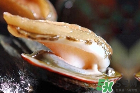 鮑魚一次最多吃幾個？鮑魚吃多了有什么不好的？