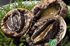 鮑魚一次最多吃幾個？鮑魚吃多了有什么不好的？