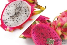 火龍果是什么季節(jié)的水果？火龍果什么時(shí)候成熟？