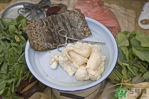 吃蛇肉有什么好處?蛇肉的營養(yǎng)價(jià)值及功效