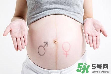 孕婦能吃瓜子嗎？孕婦吃瓜子對身體好嗎？