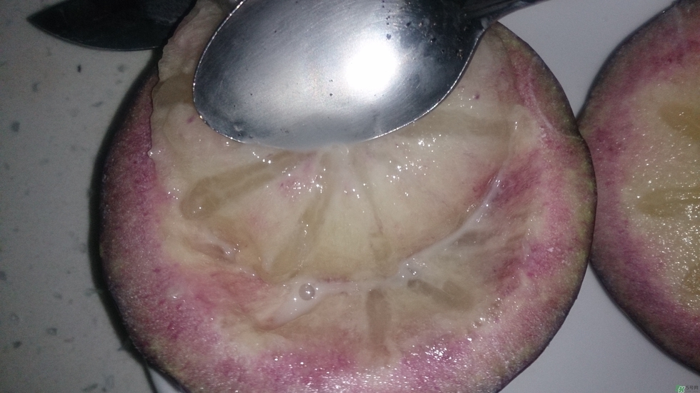 牛奶果怎么吃？牛奶果的功效與作用