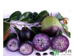 牛奶果怎么吃？牛奶果的功效與作用