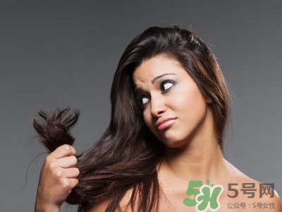 用護發(fā)素會掉頭發(fā)嗎?護發(fā)素掉頭發(fā)怎么辦 用護發(fā)素會掉頭發(fā)嗎?護發(fā)素掉頭發(fā)怎么辦