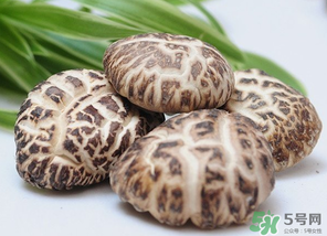 吃香菇有什么好處？吃香菇有什么壞處？