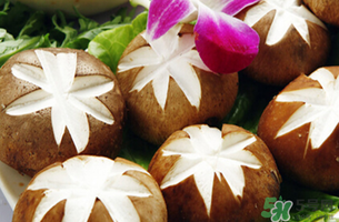 吃香菇有什么好處？吃香菇有什么壞處？