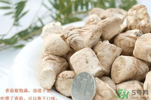 香菇根能吃嗎？香菇的根可以吃嗎？