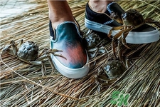 vans與acu合作款鞋子在哪可以買？vans與acu合作款鞋子上市發(fā)售時(shí)間