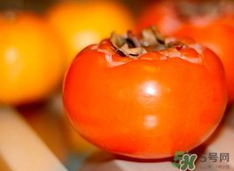 鴨肉和柿子能一起吃嗎？吃完鴨肉可以吃柿子嗎？