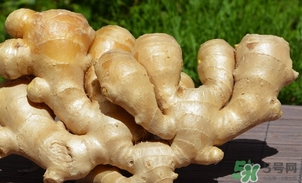 姜湯用老姜還是嫩姜？煮姜湯可以用干生姜嗎？