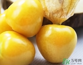 燈籠果不能和什么一起吃？燈籠果什么人不能吃？