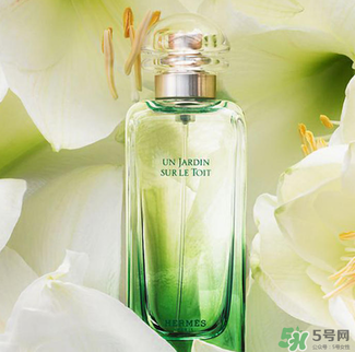 愛馬仕香水怎么看真假？愛馬仕香水真假鑒別圖