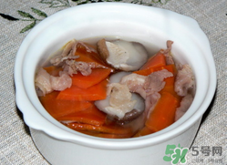 雞肉能和胡蘿卜一起吃嗎？雞肉和蘿卜可以一起吃嗎？