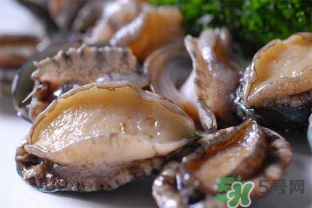 寶寶能吃鮑魚嗎？寶寶多大可以吃鮑魚？