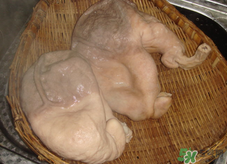 豬大腸怎么清洗？豬大腸怎么去臭味？