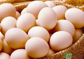 笨雞蛋和普通雞蛋營養(yǎng)價值一樣嗎？笨雞蛋和普通雞蛋的區(qū)別